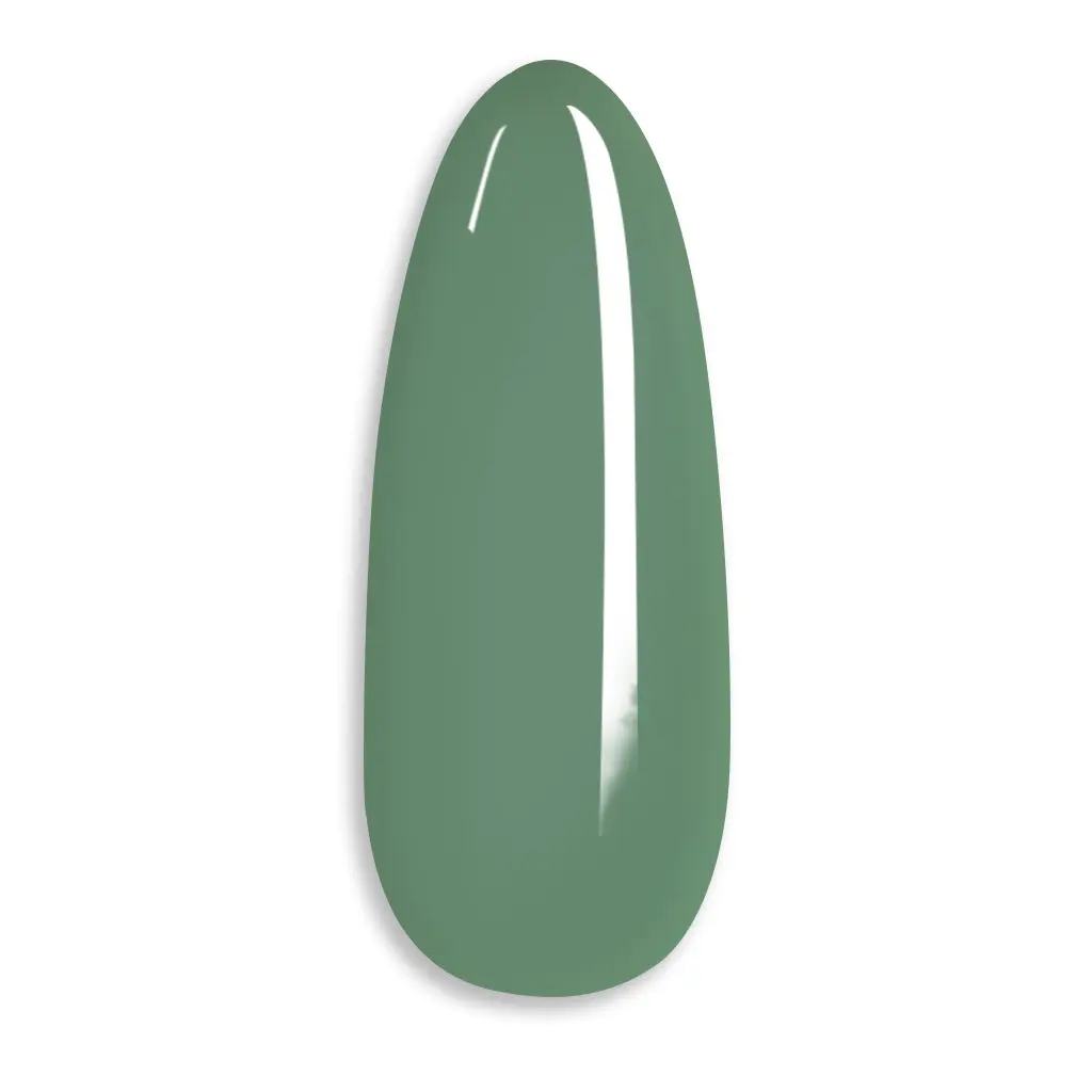 Glamnailsprofessional Health & beauty > Nail care > Nail gel One Step Gel | Misty Leaf