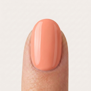 Polygel Pêche